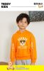 Baby Boy Cartoon Bear Pattern Glowing Tape Design Hoodies With Cap